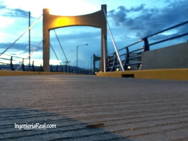 Ciempiés sobre la superficie del Puente Altos del Trapiche antes de su apertura